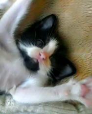 ma_jacoco_'s profile picture. 直島行きたい♪モスクワ.トルコ.メキシコ.モロッコに行ってみたいな…(●´∀｀●)