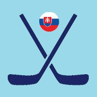 Slovak Prospects(@SlovakJrHockey) 's Twitter Profile Photo