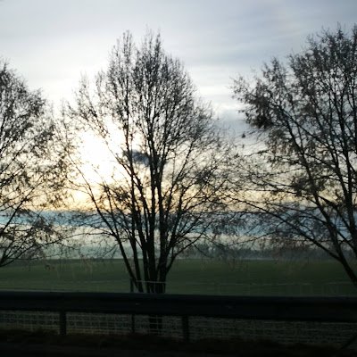 FrdrickSinger1's profile picture. 