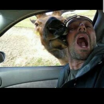 arbtonyb's profile picture. 