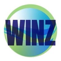 WINZ(@WINZaction) 's Twitter Profile Photo