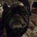 Thomas Streeter - @tstreeter01978 - Twitter