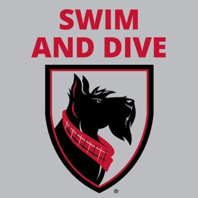 The Official Twitter account of Carnegie Mellon University Men’s and Women’s Swimming and Diving. 107 All-Americans. 5 National Champions. All about the TEAM.