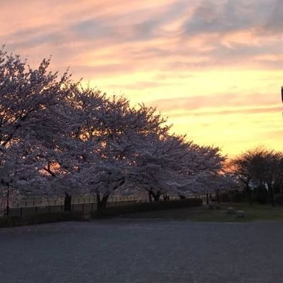 ひあるくんの裏垢
フォローしてきても返さねぇからな

しょーもないこと、生産性のないこと、今思ったこと、なんでも呟いていいって聞いたので自由にえへへえへへえへへへへ