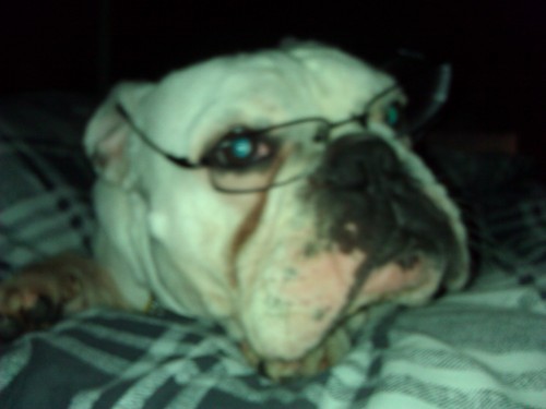 brakemonkey's profile picture. 