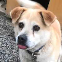 ใใฌใ๐โโ๏ธโ๏ธโญ๏ธ (@tanudeeeen) 's Twitter Profile Photo ใใฌใ๐โโ๏ธโ๏ธโญ๏ธ (@tanudeeeen) 's Twitter Profile Photo
