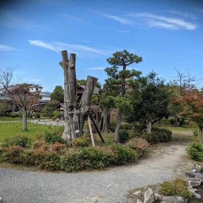 プログラミングを教えたい。
教えてほしい人はご連絡ください。
無償なので責任は持ちません。
SES:約15年
社内開発:約2年
言語:
C#(Blazor)
https://t.co/XIICOfCvLS
python
Java
DB:
Oracle
その他:
git
