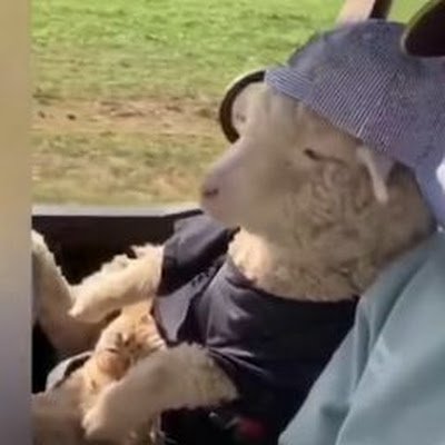 ilmare3413's profile picture. 