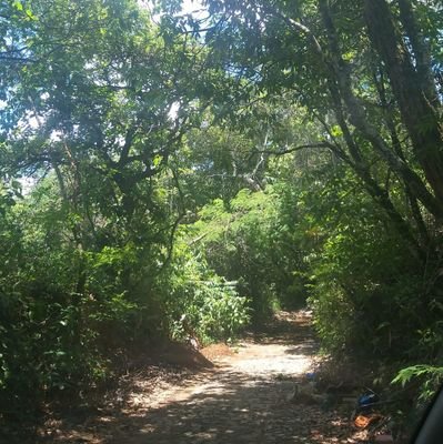 JoseSil51474134's profile picture. 