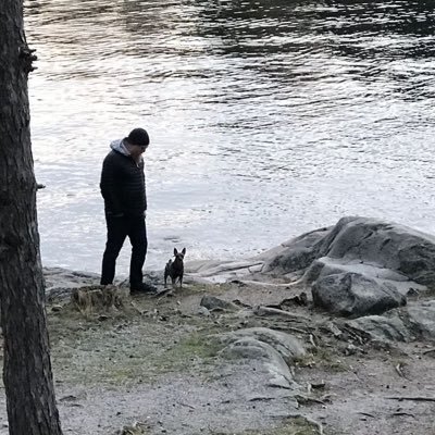 Bjorn_Straat's profile picture. Hundägare. Doktor i spel och media. Principer: Konservativ, Kantiansk pliktetik