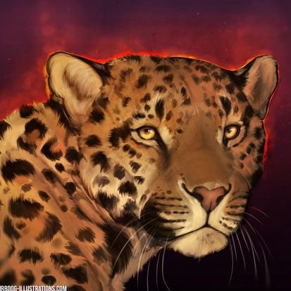 birbdog's profile picture. 