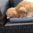 Connor Jay - @xIConJayPvP1 - Twitter