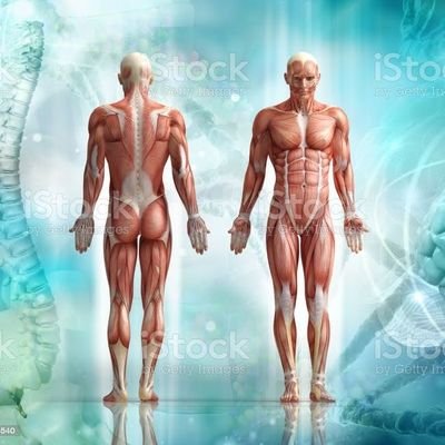 HealthRyzen's profile picture. Why is Ryzen Health Different? Simply we don't focus on Normal Health we aim for Optimal Health!