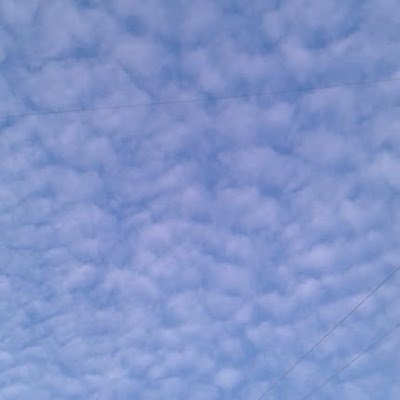 15Nomadd's profile picture. Traveler