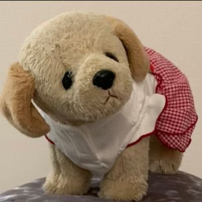 YRTzAfTqrB2yYjK's profile picture. 