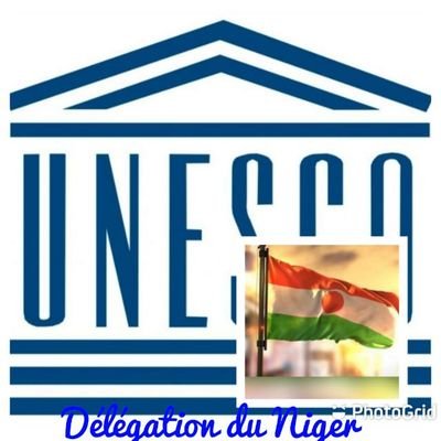 Compte Twitter de la Délégation permanente du Niger.