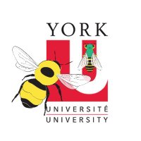BeesYU (@beesyork) 's Twitter Profile Photo BeesYU (@beesyork) 's Twitter Profile Photo