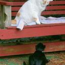 Patti Walters - @Bubette50 - Twitter