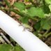 SLES Discovery Garden (@slesgarden) Twitter profile photo SLES Discovery Garden (@slesgarden) Twitter profile photo