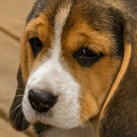 Sara1200 (@slark1200) 's Twitter Profile
