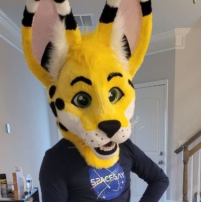 A big cat with dumb ears • 🇬🇧 Serval (+ more!) living in 🇺🇸 • 27M, He/Him, Gay • ❤️ @AkioSnep • Gamer • Fallout Nerd • Traveler • 🔞 • ✂️ @b3mascots
