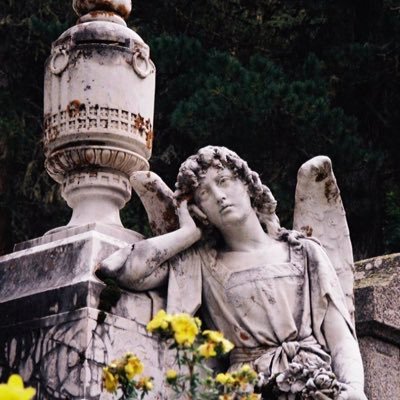 MervenurUsta13's profile picture. 