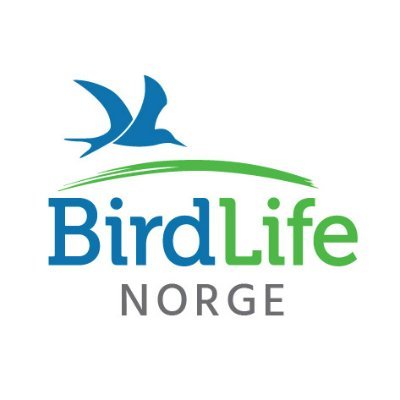 BirdLife Norge/BirdLife Norway