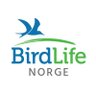Fuglevern's profile picture. BirdLife Norge/BirdLife Norway