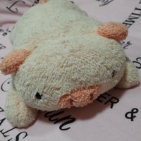 ぽゃ(ブタぬい) (@mhebb6) 's Twitter Profile