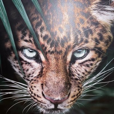 Jobbar 100%, Swingar 200% 🐆
Följ min resa på börsen! Swingtradar med momentum på svenska och amerikanska börsen samt indextradar OMX 📉📈