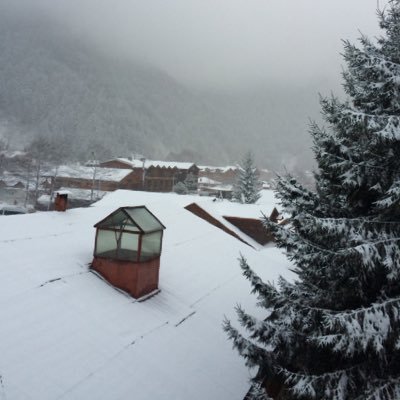 mhmmd378's profile picture. 