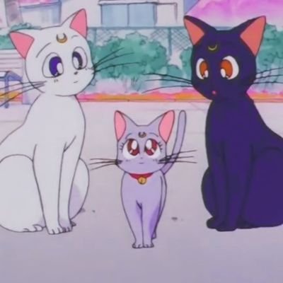 namjoon, seokjin, and yoongi as cats (+other members occassionally)