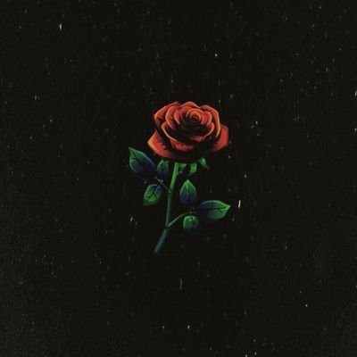 oi_im_sky's profile picture. *cool bio*