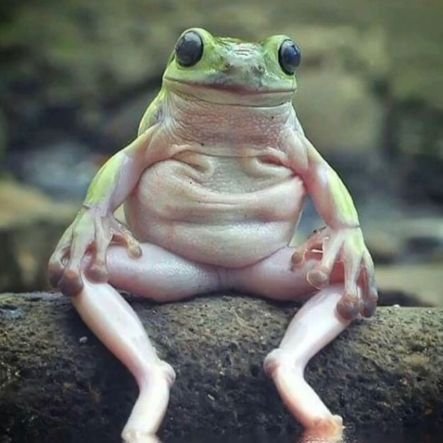 gibix_laiser's profile picture. TikTok : 
https://t.co/3xnVYt6oK4