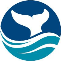 NOAA's Flower Garden Banks Natl Marine Sanctuary (@fgbnms) 's Twitter Profile