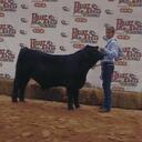 Loretta Draper - @LorettaNTS - Twitter