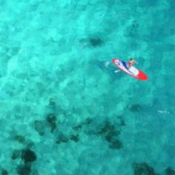 HHall2021's profile picture. 