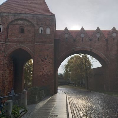 Ewa958097211's profile picture. *Stawiam na nową jakość
#NieDlaPis_u !