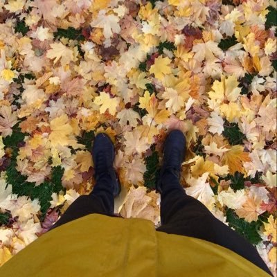 TweetSoandso's profile picture. 