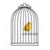littlebird (@geolebird) Twitter profile photo littlebird (@geolebird) Twitter profile photo