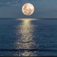 أبو عبدالله💎 (@naseralimohamme) 's Twitter Profile