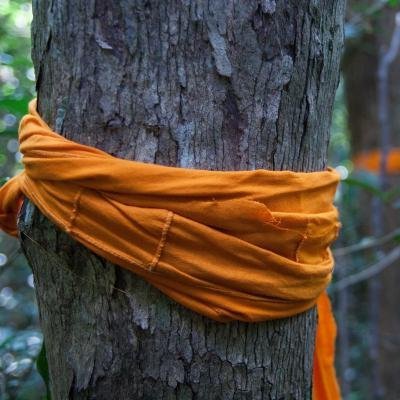 EcodharmaNW's profile picture. Ecoharma Northwest: Exploring Ecodharma through learning and action.