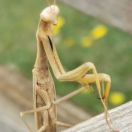 DamH725's profile picture. 🧭🗿