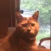 Susan Hird (@susanhird5) Twitter profile photo Susan Hird (@susanhird5) Twitter profile photo