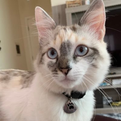 debfthes's profile picture. treat people with kindness