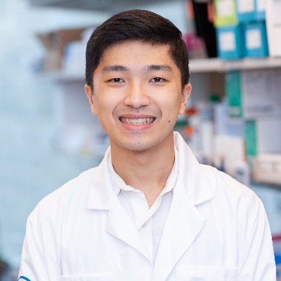PhD candidate from the Vardhana Lab at Memorial Sloan Kettering Cancer Center. Interested in exploring how amino acid metabolism affect T cell biology