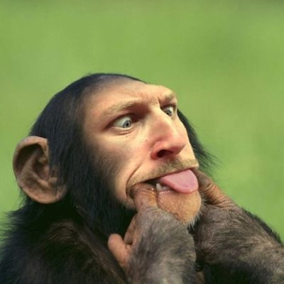 Based in Dunedin, New Zealand with my wife, kids, and pets. I make games in my spare time. Check them out using the link in my profile.