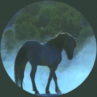 Blue Equus 💫🌎🌲🐾 🐝🐴🌱😷🇺🇦🌻🇵🇸(@Blueequus775) 's Twitter Profile Photo