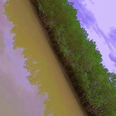 Ousman92740187's profile picture. am Ousman from west africa the Gambia