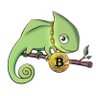 CryptoChameleo1's profile picture. Favorite color is green.